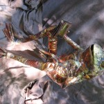 parent and child frog by Beau Smith 4-12ff parent and child frog by Beau Smith 4-12ff